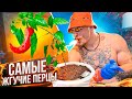 САМЫЕ ЖГУЧИЕ ПЕРЦЫ В ДОМАШНИХ УСЛОВИЯХ