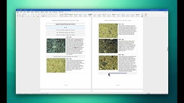 Report Builder - TensorTide Feature Video
