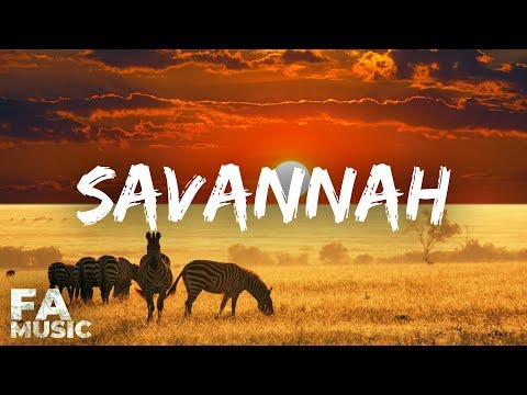 Kygo style │ Savannah – Diviners ft. Philly K