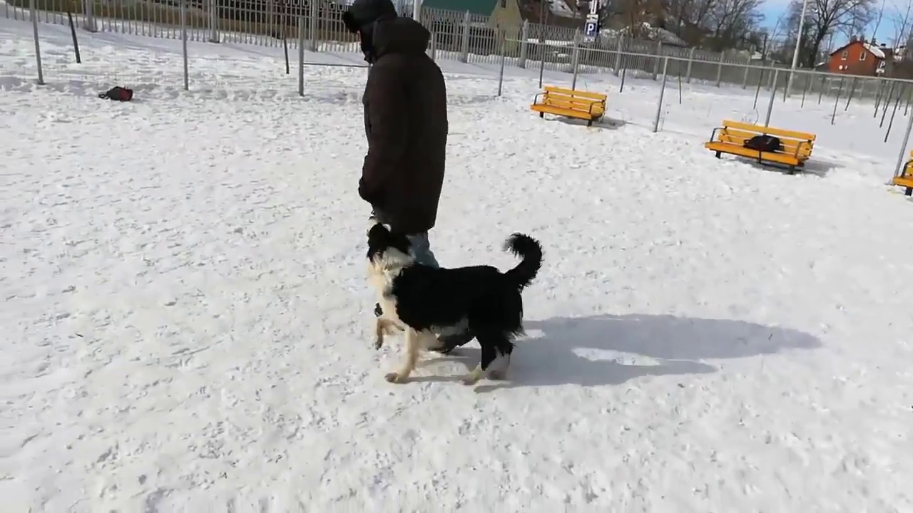 Кайден, "рядом", 19.03.2018