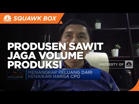 Harga CPO Melesat, Produsen Sawit Perluas Pasar Ekspor
