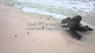 Marine Debris PSA (English version)