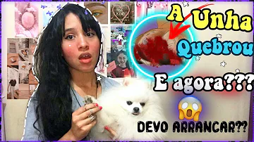 O que fazer quando gato machuca a patinha?