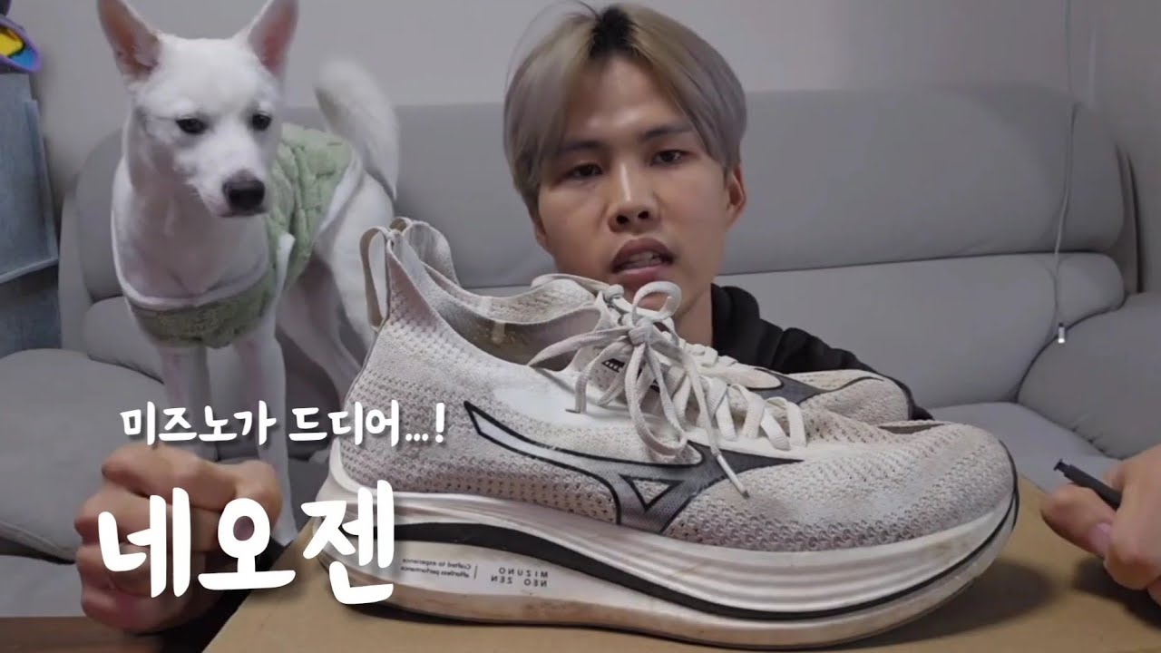 가성비 쿠션화 : 미즈노 네오젠 리뷰