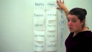 Week 13 Foldable Vocabulary