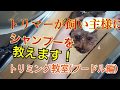 現役トリマーが飼い主様にトリミングを教えます！～プードル編〜