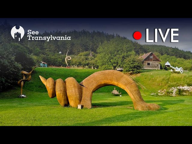 Ernő Bartha's Arkhai Sculpture Park - Cluj Napoca 🔴 Live Webcam