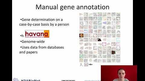 Module5: session 2 video 3