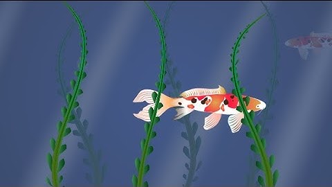 Adobe Animate CC: Add to HTML web page (Updated Version)