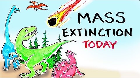 Mass Extinction Crisis TODAY