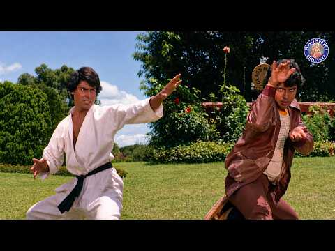 मिथुन की खतरनाक कुंग्फू | Mithun Chakraborty Kungfu Action Scene | Main Aur Mera Haathi Action Scene