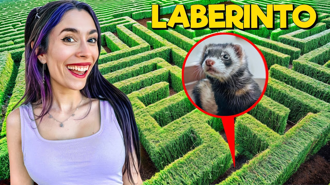 CONSTRUÍ UN LABERINTO PARA MI MASCOTA