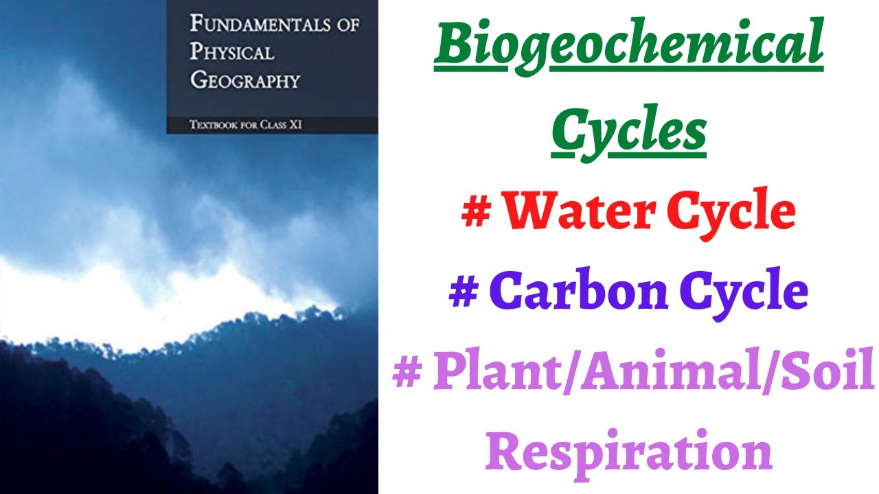 (P4C15) What are Biogeochemical cycles - Water Cycle and Carbon cycle ...