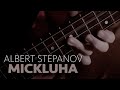 ALBERT STEPANOV (14 years old bass player) - MICKLUHA