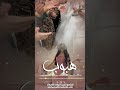 شيلة مدح باسم هبوب هبوب لها قدر وهيبة ومقدار رقص شيلة عروس مميزة شيلات رقص شيلات زواج 