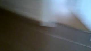 Ķötü Son Koku Filmi