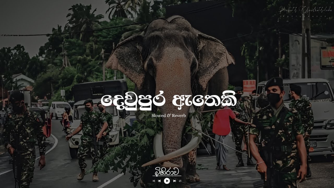 දෙව්පුර ඇතෙකි | 2025 Esala Perahera Song For Nedungamuwe Raja | Gajaga EDM | Slowed & Reverb...💗