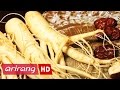 アリランスペシャル(Ep.360) The Ginseng Documentary _ Full Episode