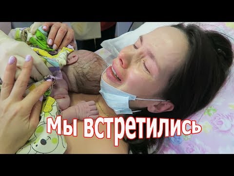 Вопрос: Как детёнышей Фоса правильно называть Как называют их малышей?