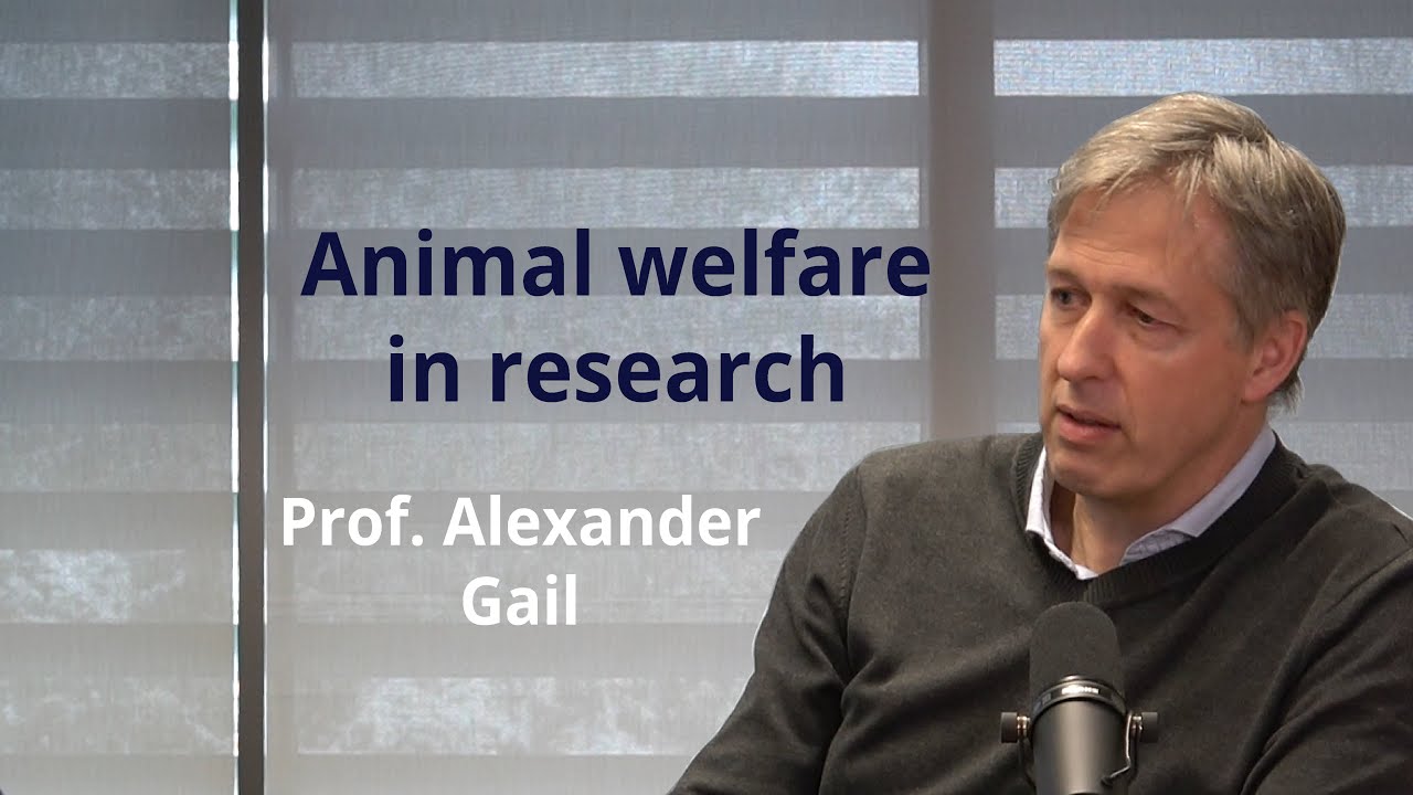 Important video! How to ensure animal welfare in research?