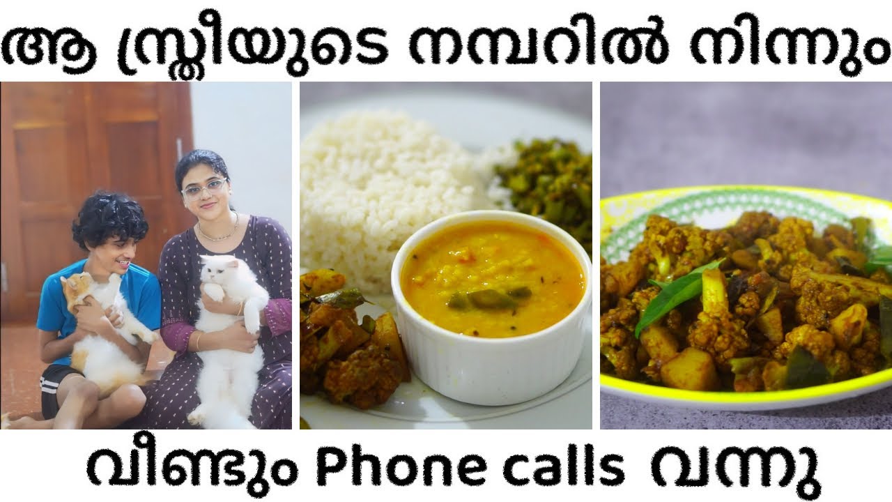 വീണ്ടും Missed Calls ? കുട്ടികളൊത്തു ഒരു വൈകുന്നേരം |Evening to Night Routine