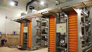 Poultry Farm Business Plan