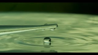 Celebrity Water Drops In Slowmotion With FPS1000 Platinum High Speed Camera Net Worth