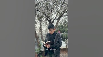 ما تيسر من سوره الرحمن مع عمرو أبو صالح