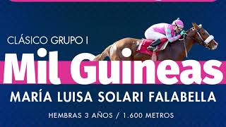 Vidéo de la course PMU PRIX LA BASTILLE