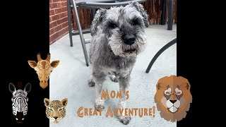 Moms Great Adventure!