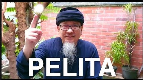 PELITA  (Andi Analta Amier Official Video)