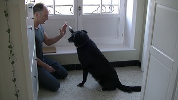 frank renders/lesson4/Ex4.4/ shape new trick/high five