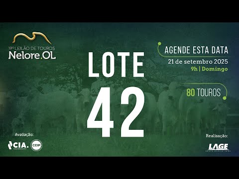 LOTE 42 V90972 - 19º Leilão de Touros Nelore OL