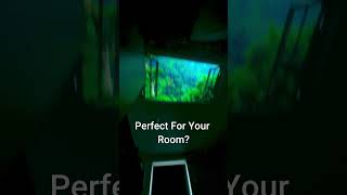 Jabari Projector #travel #filmprojector #movieequipment #funny #movieprojector