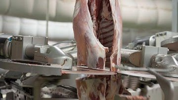 Red Meat Processing Technologies | You won’t believe what these machines can do |  Food factory