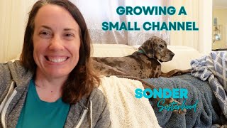 Single and Childless Not By Choice: Small Channel Monetization CHALLENGE #1