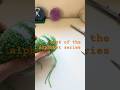 4/26 pompom alphabet series