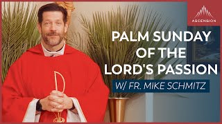 Palm Sunday of the Lord's Passion - Mass with Fr. Mike Schmitz by Sundays with Ascension 69,855 views 2 months ago 1 hour, 1 minute