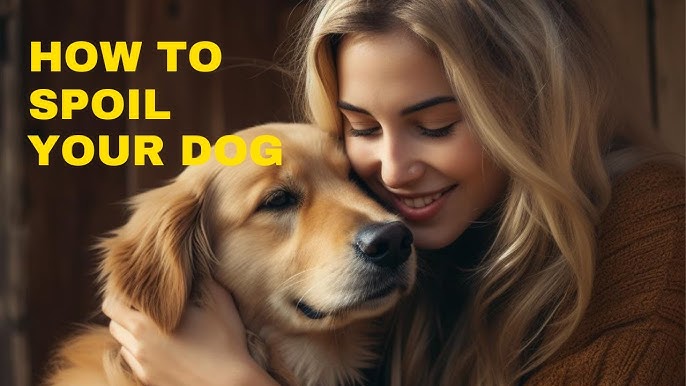 5 ways to mentally stimulate your dog – Go Dogo