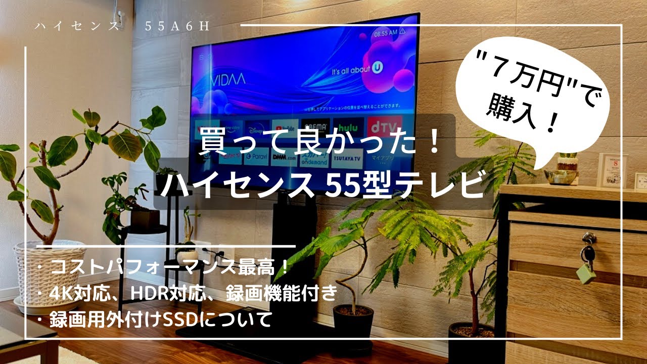 【ハイセンス 55A6H レビュー】4K対応55型テレビを70,000円で購入！