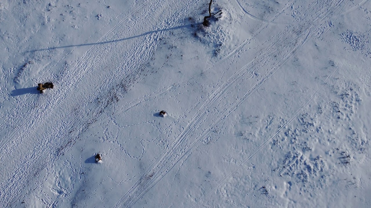 Lemelerberg Drone flight