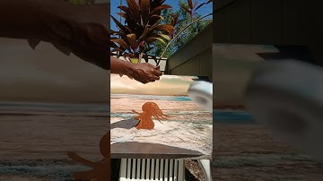 SPIRITUAL ART HEALING SESSIONS LOOK LIKE THIS