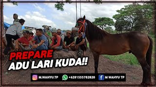 Latihan Rutin Setiap Minggu Kuda Pacu Lombok NTB SANGAT SERU!!