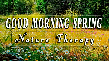 Relaxing Nature Ambience Meditation 🌼 8h GOOD MORNING SPRING NATURE THERAPY🌷 Meadow Healing Sounds