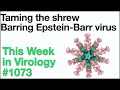 Twiv 1073 taming the shrew and barring epsteinbarr virus