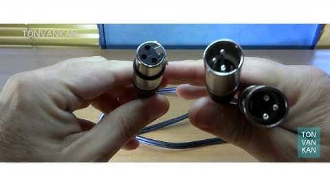 XLR splitter 1 mic and 2 outputs.