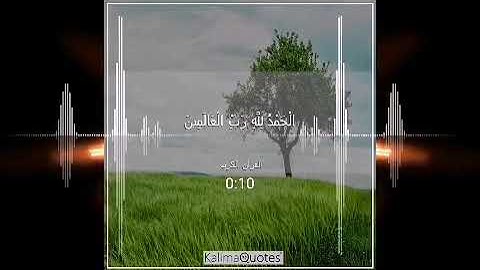 سورة الفاتحة للقارئ علاء محمد برواية قالون عن نافع