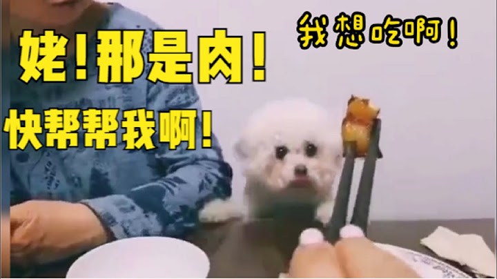 狗子急得都快说话了！