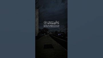 من سورة الشعراء || الشيخ ياسر الدوسري