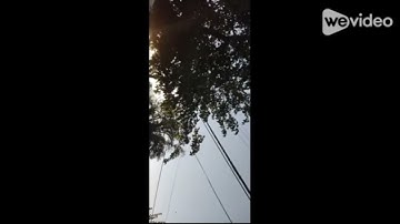 Elite Investors Fight Cognitive Biases by Erokhane via NotebookLM